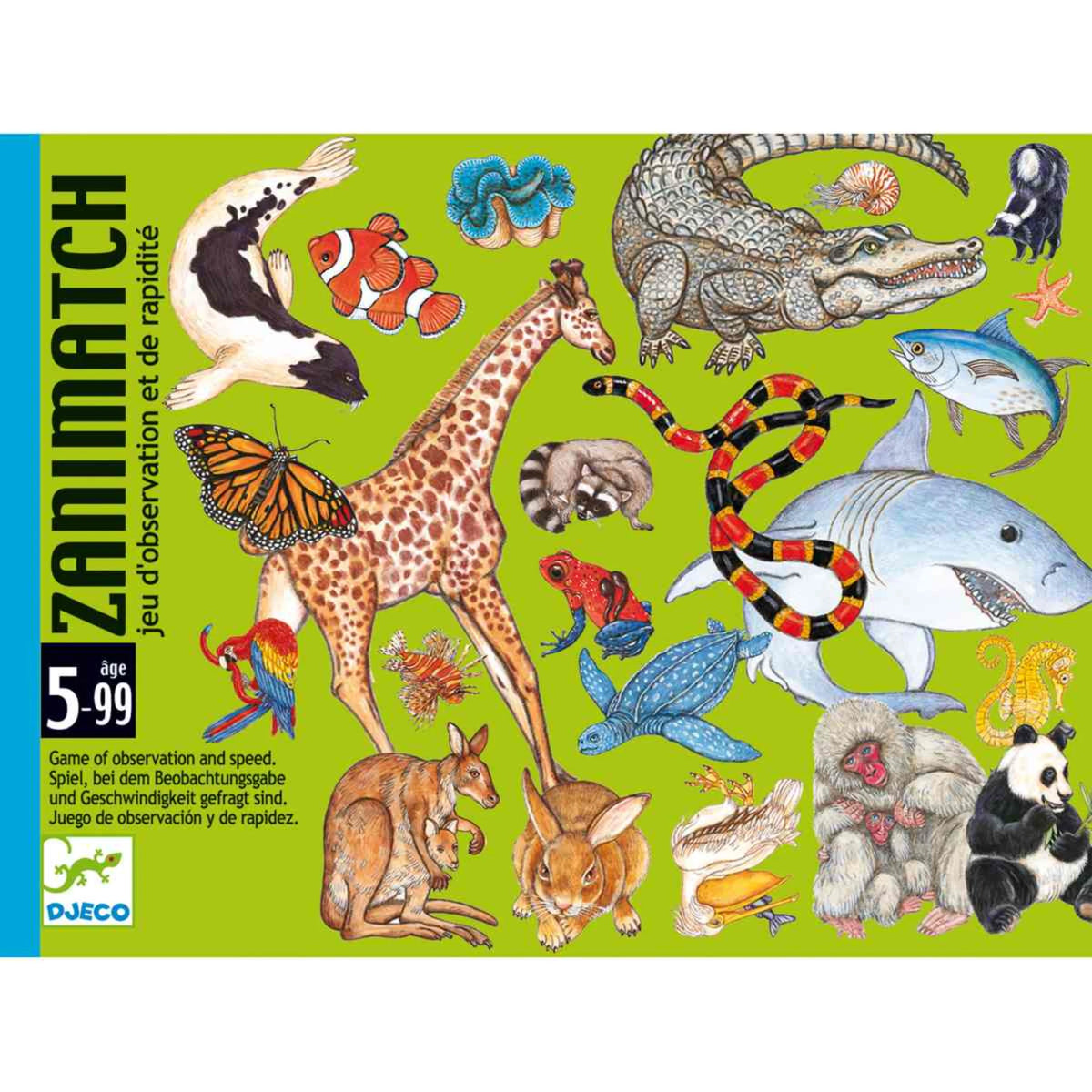 Djeco Spiel „Zanimatch“ – Beobachtungs- und Reaktionsspiel ab 5 Jahren
